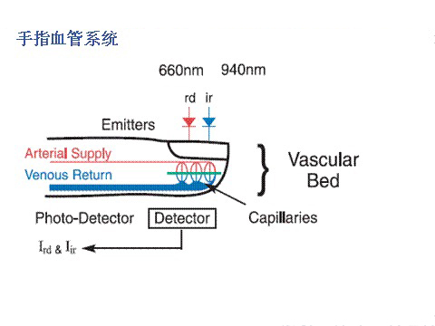 血氧仪第5图.jpg